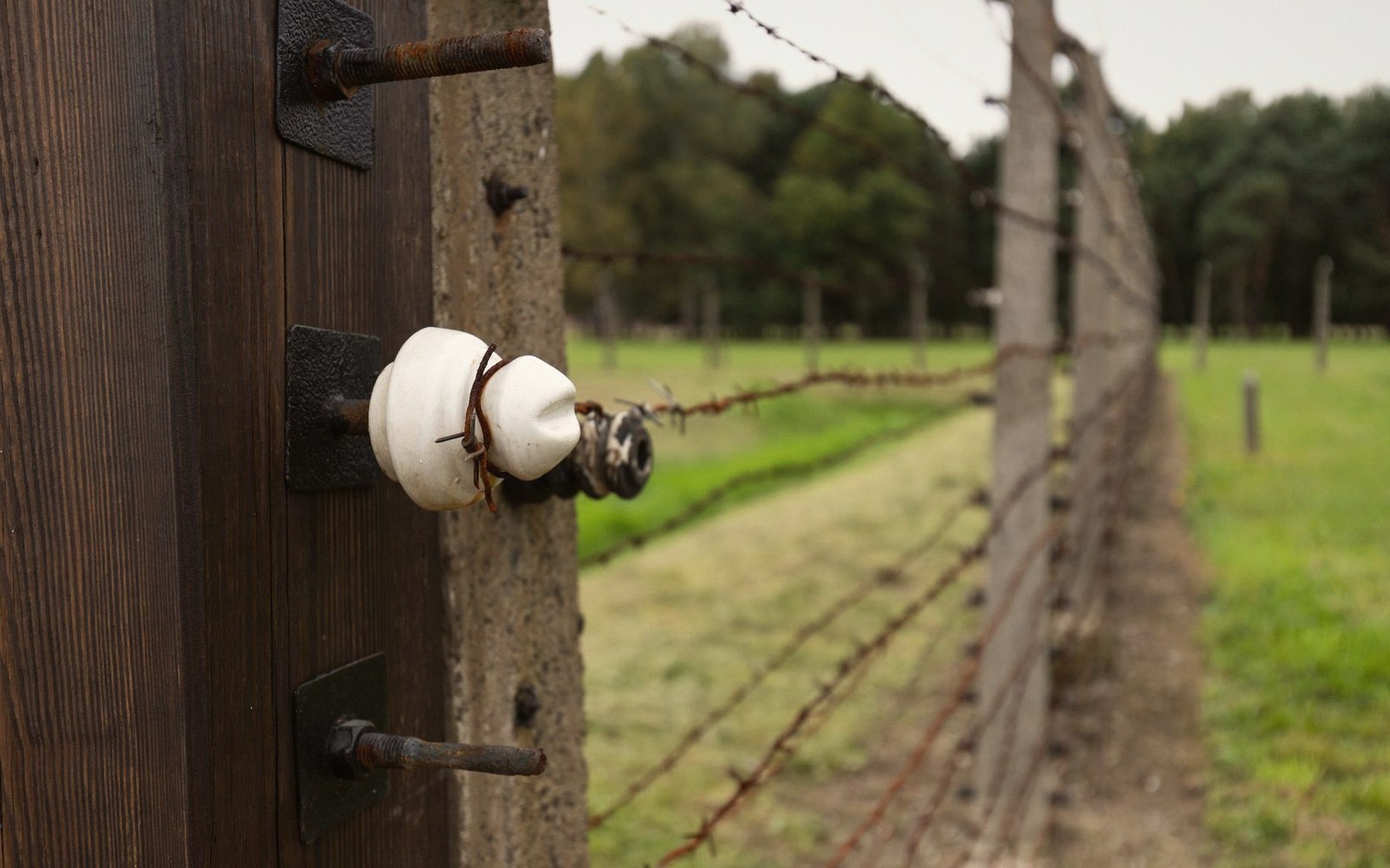 Wire held on an insulator bolted to a post