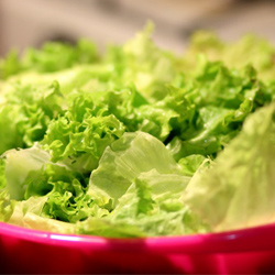 lettuce lettuce